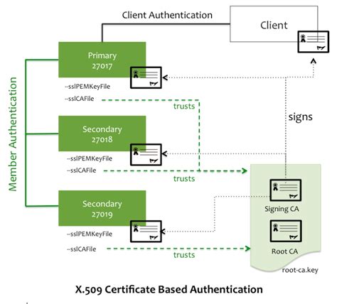 mongodb authentication export.